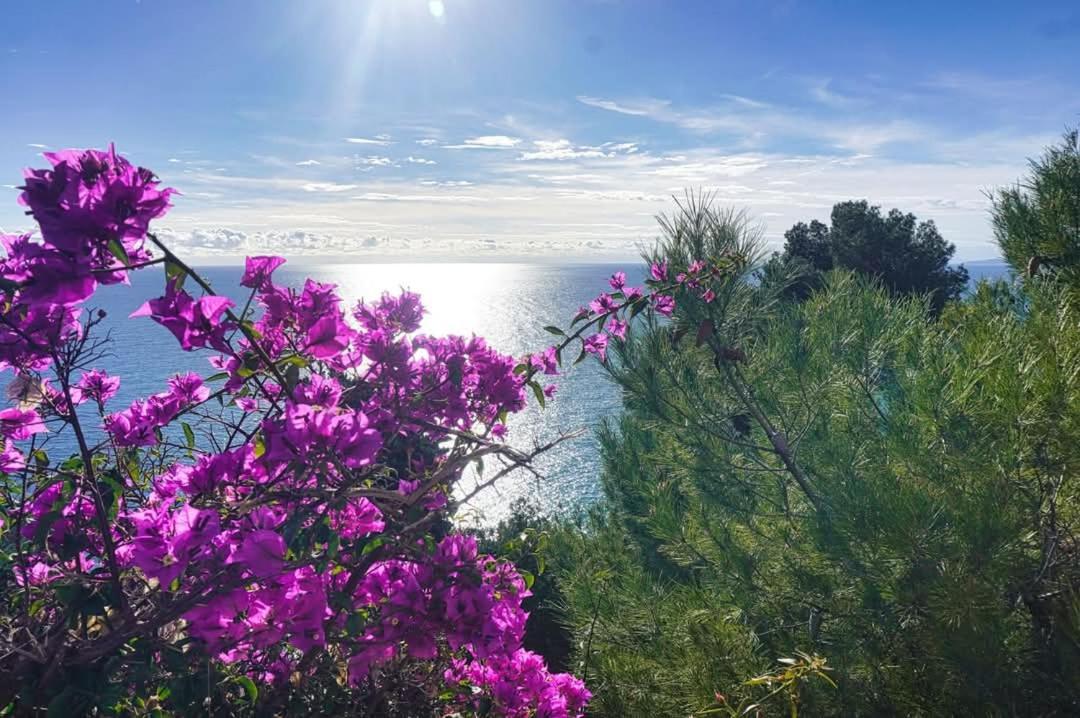 Dolci Risvegli Vista Mare *