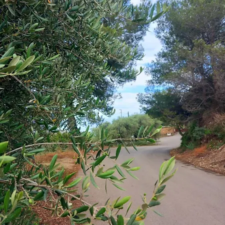 Dolci Risvegli Appartamento Vista Mare Ventimiglia Exterior photo