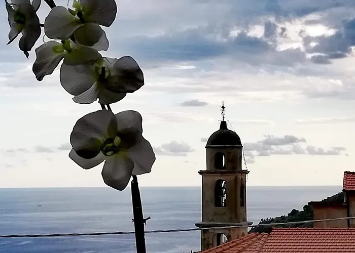 Dolci Risvegli Appartamento Vista Mare