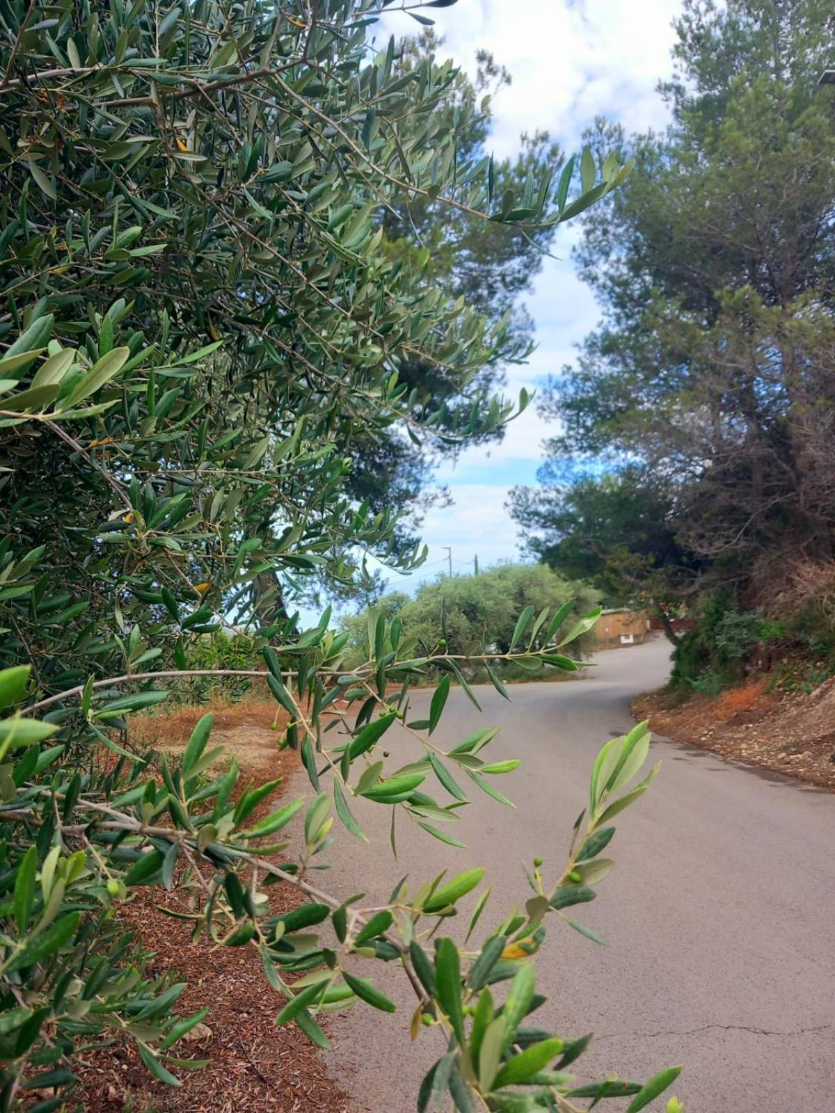 Dolci Risvegli Vista Mare Apartment Ventimiglia