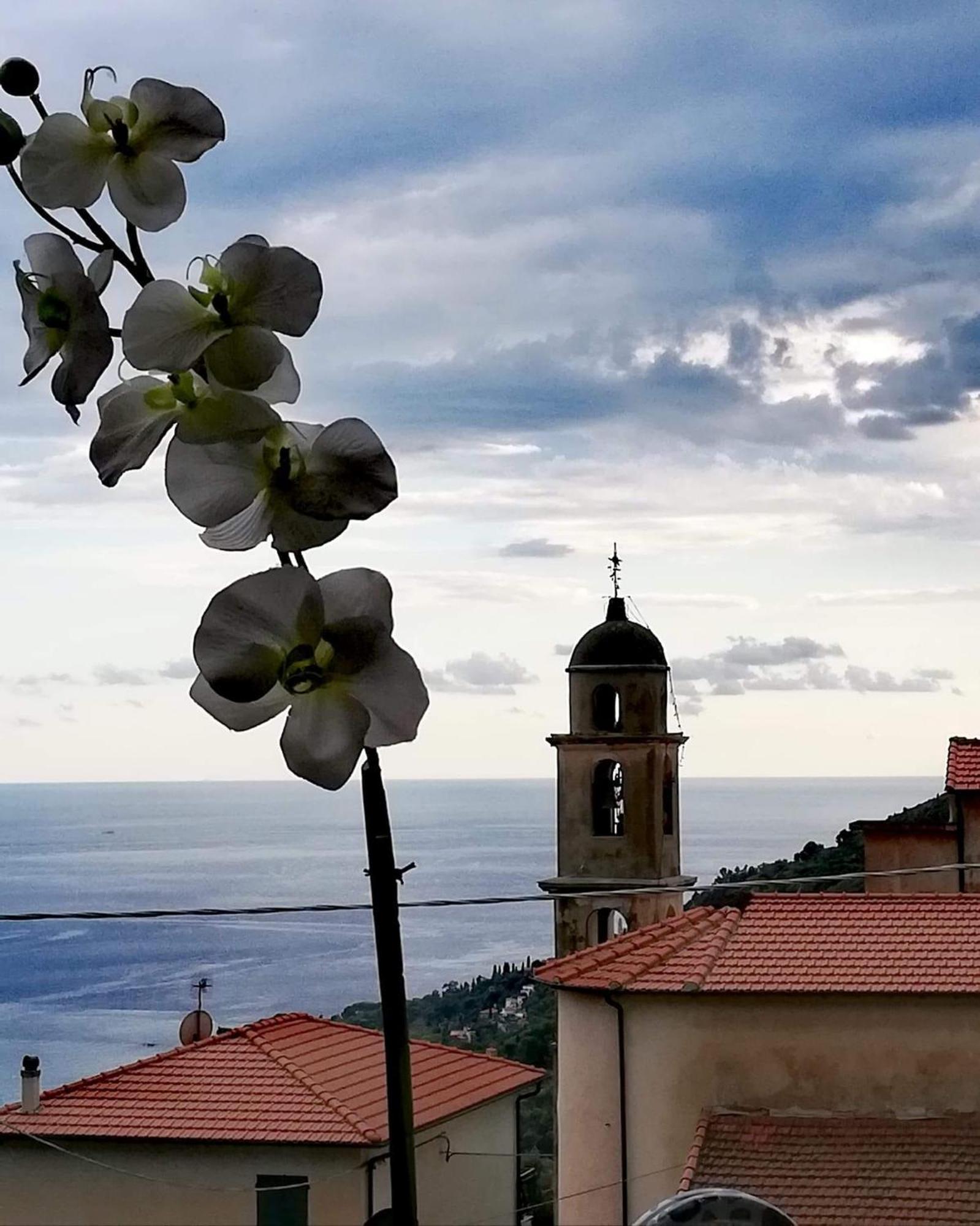 Apartment Dolci Risvegli Vista Mare Ventimiglia